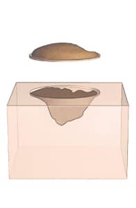 Illustration af et tyndt lag væv, der fjernes